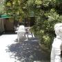 Subido por visitante en 26/12/2016 - Patio parquizado