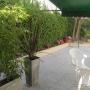 Subido por visitante en 26/12/2016 - Verde y sol