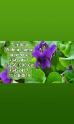 Vidente Natural