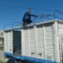 camion