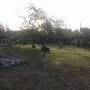 Subido por visitante en 25/9/2017