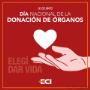 Subido por visitante en 15/11/2017