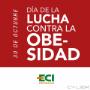 Subido por visitante en 15/11/2017