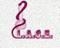 Lace SRL