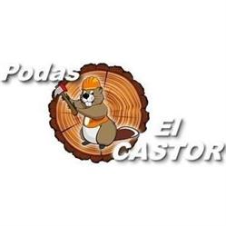 Podas el Castor