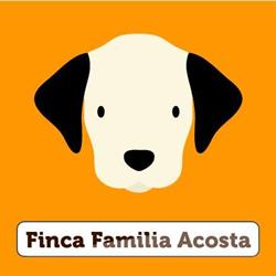 Hotel para Mascotas - Finca Familia Acosta