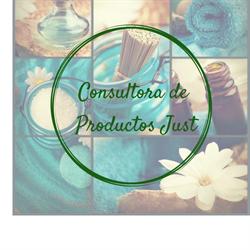 CONSULTORA DE PRODUCTOS JUST