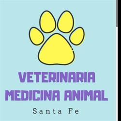 Francisco Sandaza Galán - Medicina Animal - Santa Fe