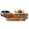 Carlota Repuestos de Guerreiro W