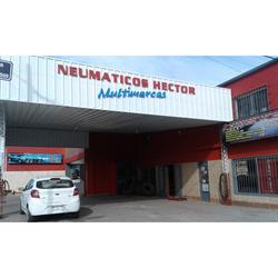 Neumáticos y Gomería Héctor - Multimarcas