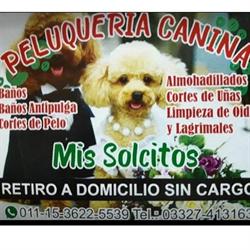 Mis Solcitos.