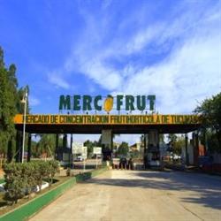 Mercofrut - Coma Sano
