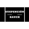 SUSPENSION RAUCH
