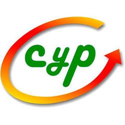 C Y P CONSULTORES
