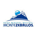 AGUA MINERAL MONTE ZEBALLOS