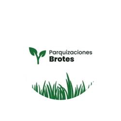 Parquizaciones Brotes