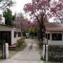 En HOSTERÍA VALLE VIEJO brindamos atención personalizada
<br>tenemos habitaciones, bar, wifi, televisión y estacionamiento
<br>exclusivo. No dude en visitarnos.