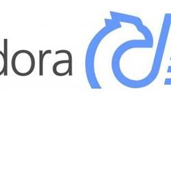 DISTRIBUIDORA MAS SRL