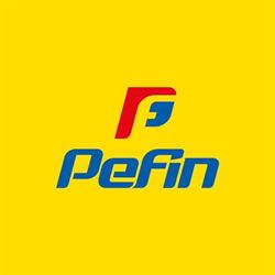 Pefin Irigoyen