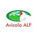 AVICOLA ALF
