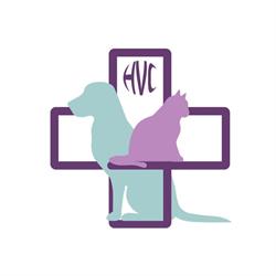 Hospital Veterinario Ciudadela - Clínica - Cirugía - Especialidades