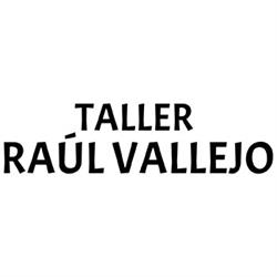 Taller Raúl Vallejo