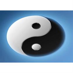 Sensei Soluciones y Servicios
