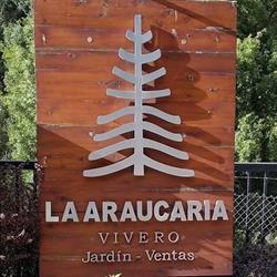 Vivero la Araucaria
