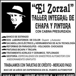 El Zorzal