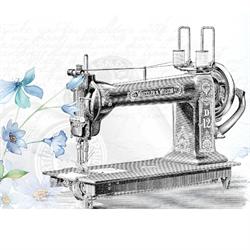 Rosa Delia Britez Diseñadora