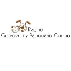 Gina - Peluquería Canina -