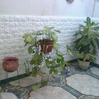 SOLUCIONES INMEDIATAS