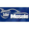 Mosele - Taller de Chapa y Pintura del Automotor
