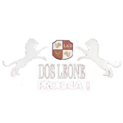 Cerveza Artesanal Dos Leone