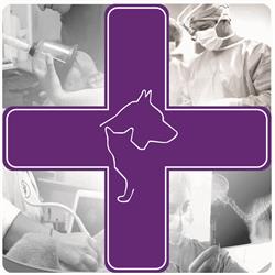 Centro Veterinario Confluencia