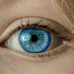 OPTICA ANTUNEZ - ANTEOJOS RECETADOS EN EL DIA
