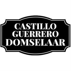 Castillo Guerrero Domselaar