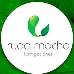 Fumigaciones Ruda Macho