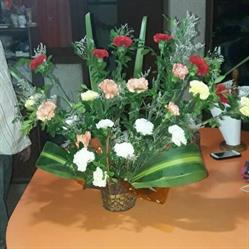 Floreria los Lapachos