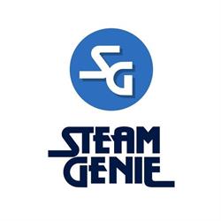 Empresa de Limpieza Steam Genie S.R.L.