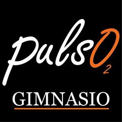 Pulso 02