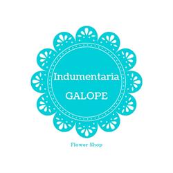 INDUMENTARIA GALOPE
