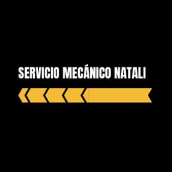 Servicio Mecánico Natali