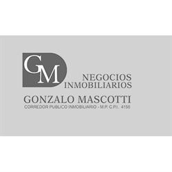 GM NEGOCIOS INMOBILIARIOS