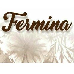 FERMINA INDUMENTARIA Y ACCESORIOS