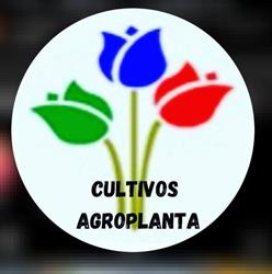 Agroplanta SRL