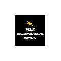 TALLER ELECTROMECANICO EL PIRINCHO