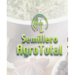 Semillero Agrototal