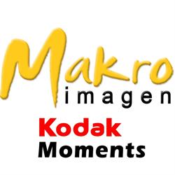 FOTO MAKRO - IMAGEN - SERVICIOS DIGITALES