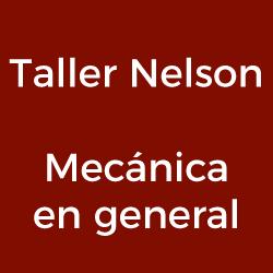 Taller Nelson - Mecánica en general